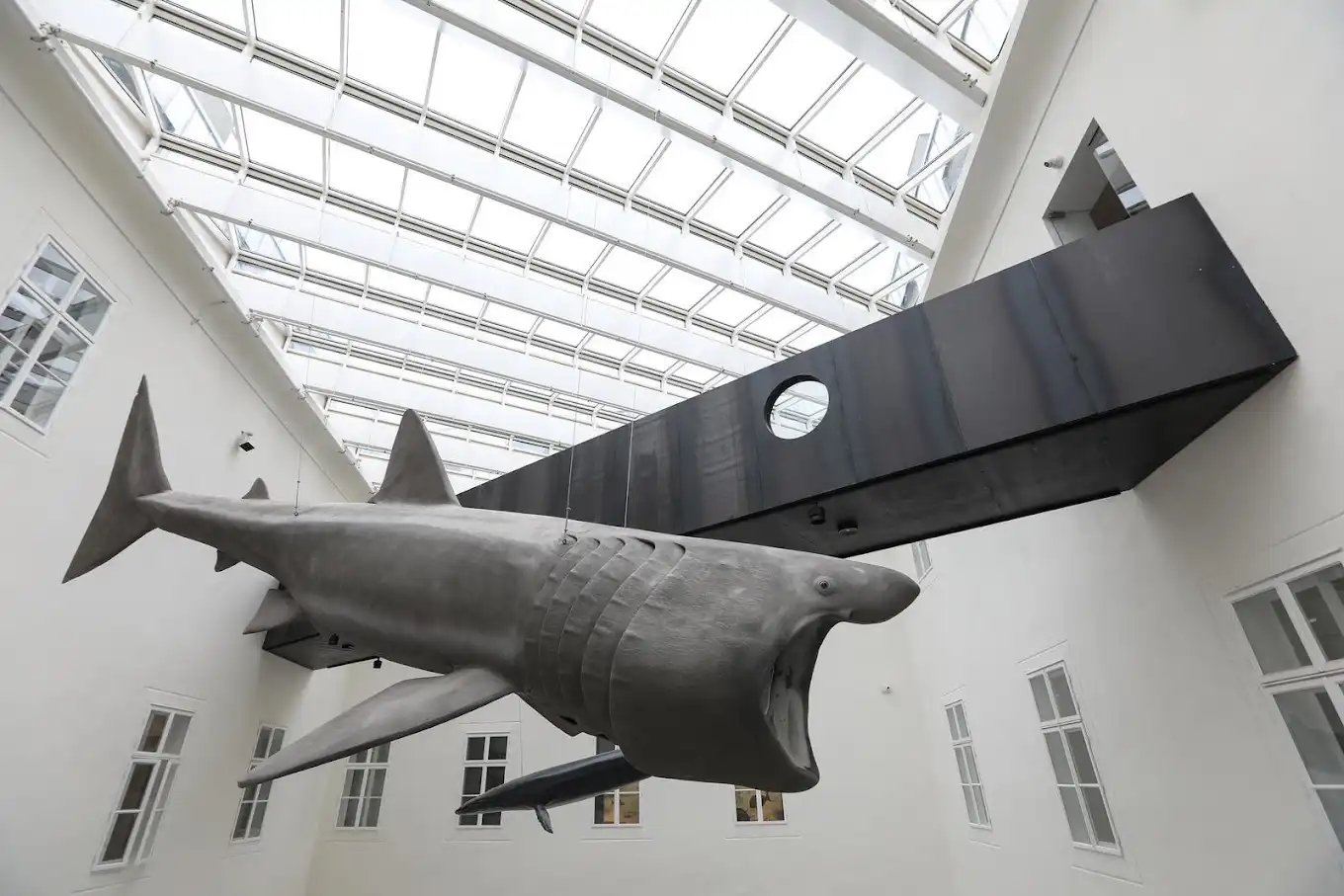  Obnovljeni Hrvatski prirodoslovni muzej